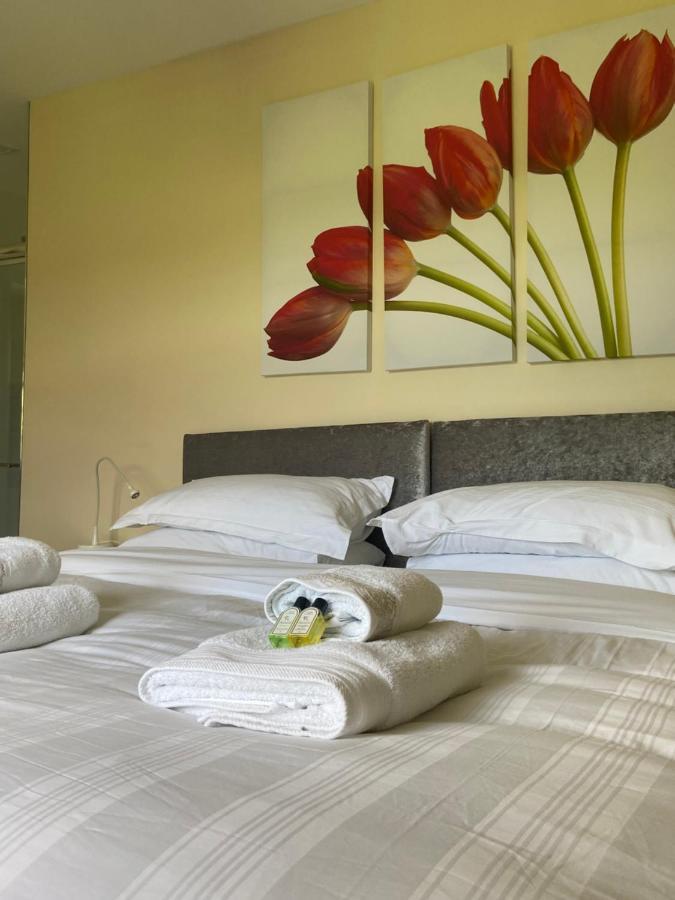 Ashbrook House Apartments Dungannon Dış mekan fotoğraf