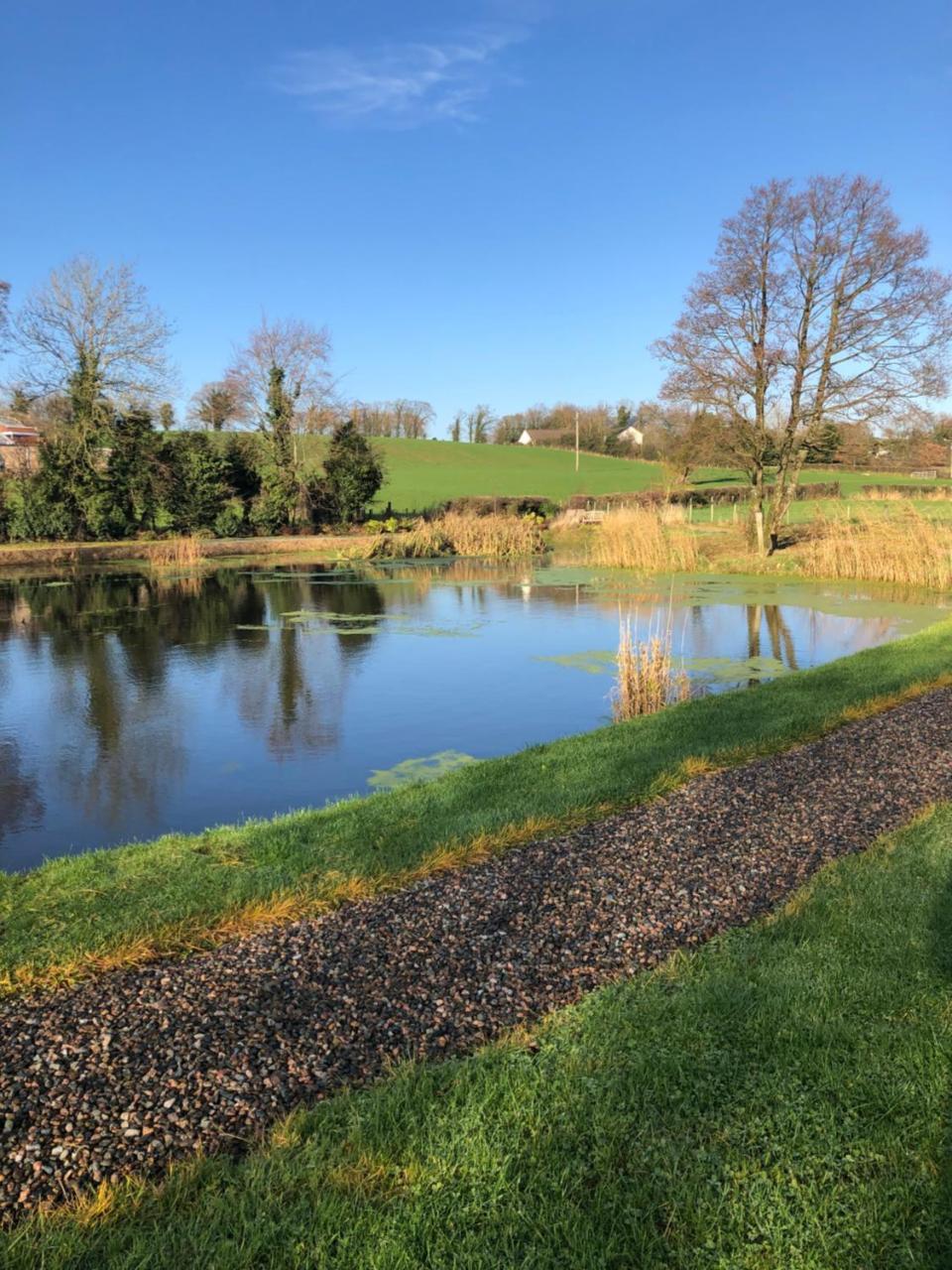 Ashbrook House Apartments Dungannon Dış mekan fotoğraf